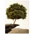 64e24244-fcec-488b-9714-386da76b834f